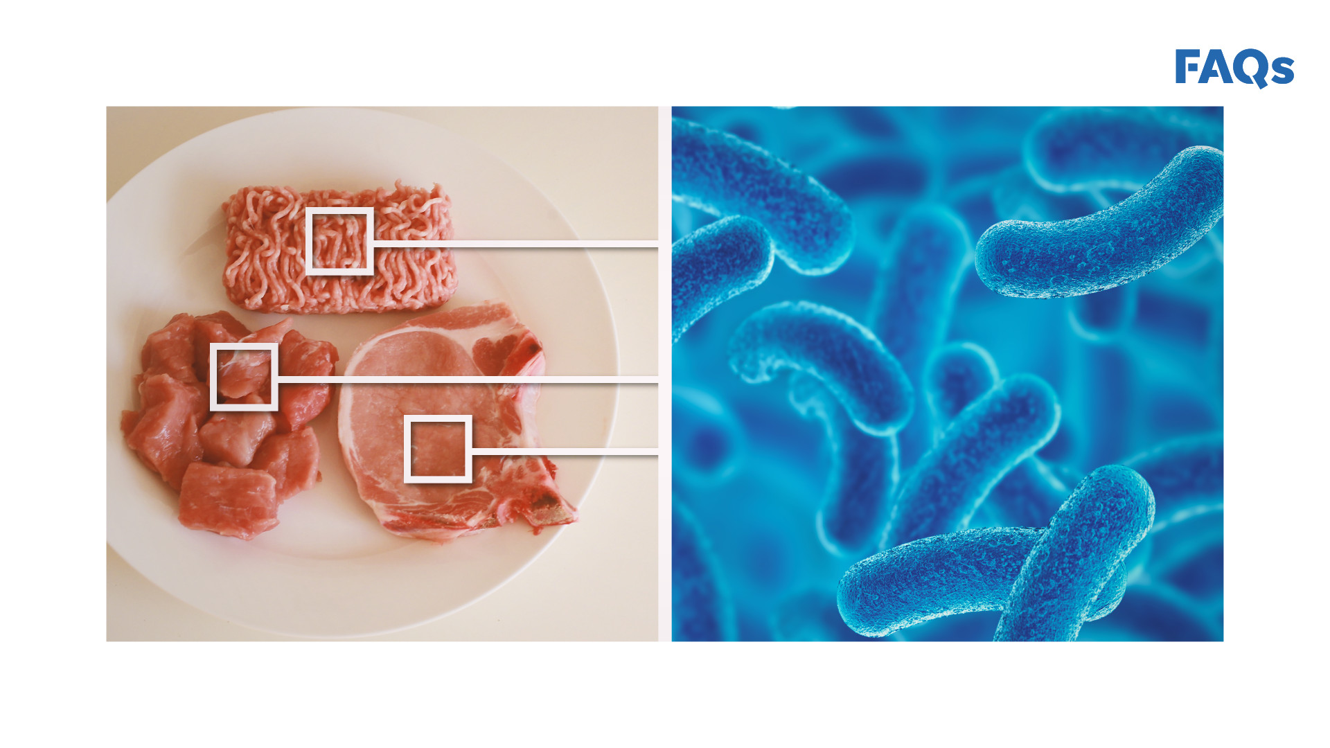 Illustration vom Rückruf vo Läbesmittel wäge E. Coli-Bakterie, Metall und sogar tote Fledermüüs.