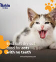 Thức ăn mềm cho mèo khô Royal Canin Oral Care giúp giảm sự hình thành cao răng