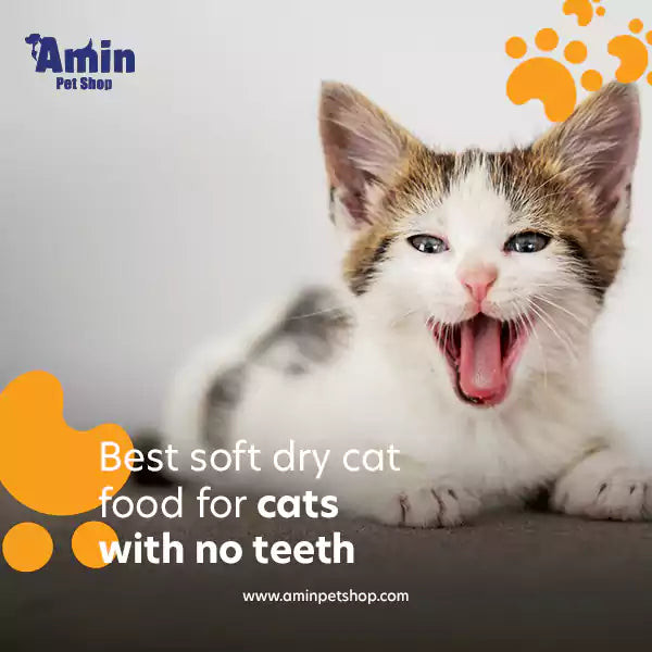 Thức ăn mềm cho mèo khô Royal Canin Oral Care giúp giảm sự hình thành cao răng