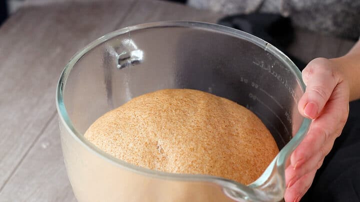 Bột bánh mì nguyên cám sau khi ủ lần 1.