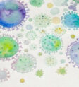Coronavirus picture
