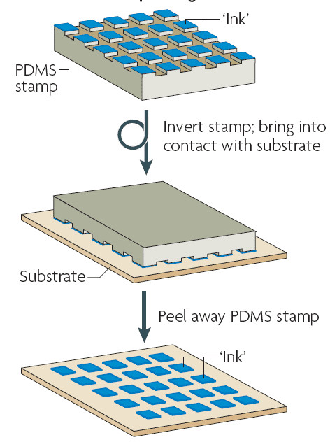 Hình ảnh minh họa quy trình Microcontact printing (µCP)