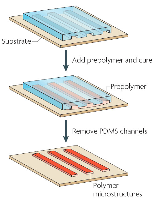 Hình ảnh minh họa quy trình Capillary molding